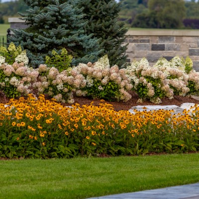 ancaster landscape the grand haven